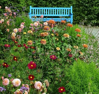 Parterre-Garten mit Sommerflor