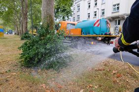 Mit 150 Litern Wasser werden Jungbäume und Bäume an schwierigen Standorten, wie hier auf der Tunneldecke entlang der Fischerstraße, versorgt. Foto: M. Gstettenbauer