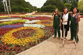 Gründezernentin Helga Stulgies (Mitte) präsentiert mit den beiden Gärtnerinnen Sabrina Fischer und Heike Rogmann (v.l.) die Sommerblumenbepflanzung im Nordpark mit Motiven zur Tour de France.