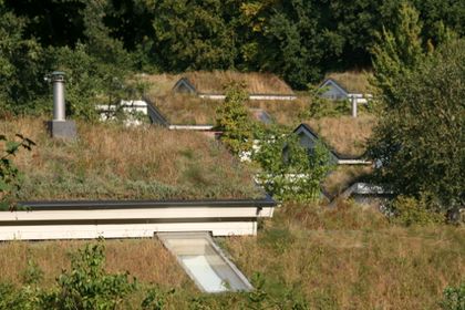 Förderprogramm Dach-, Fassaden- und Innenhofbegrünung (DAFIB)