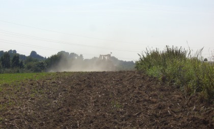 Bild Landwirtschaft