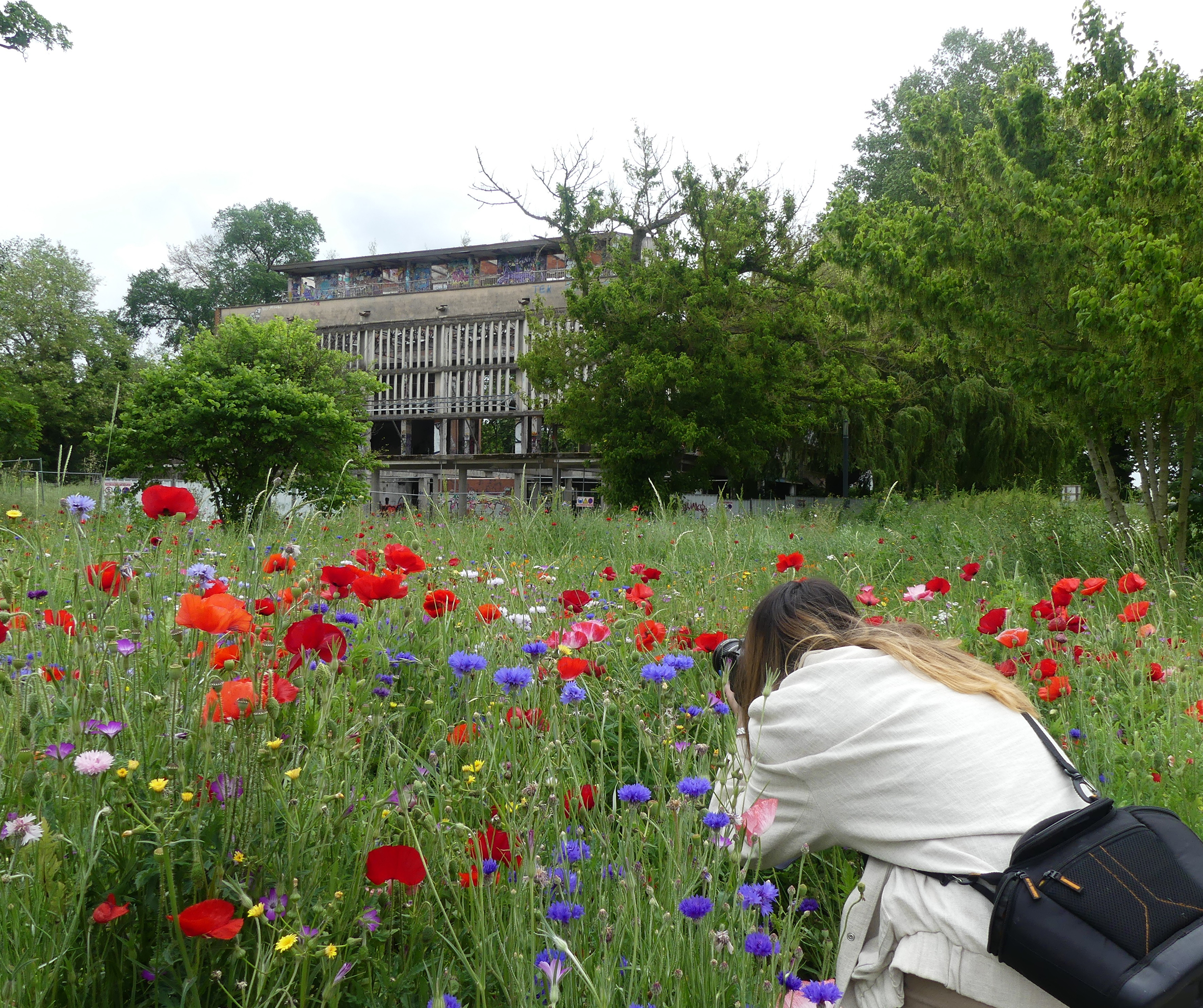Eine Frau auf der Île du Ramier in Toulouse, die ein Gebäude von einer blühenden Wiese aus fotografiert