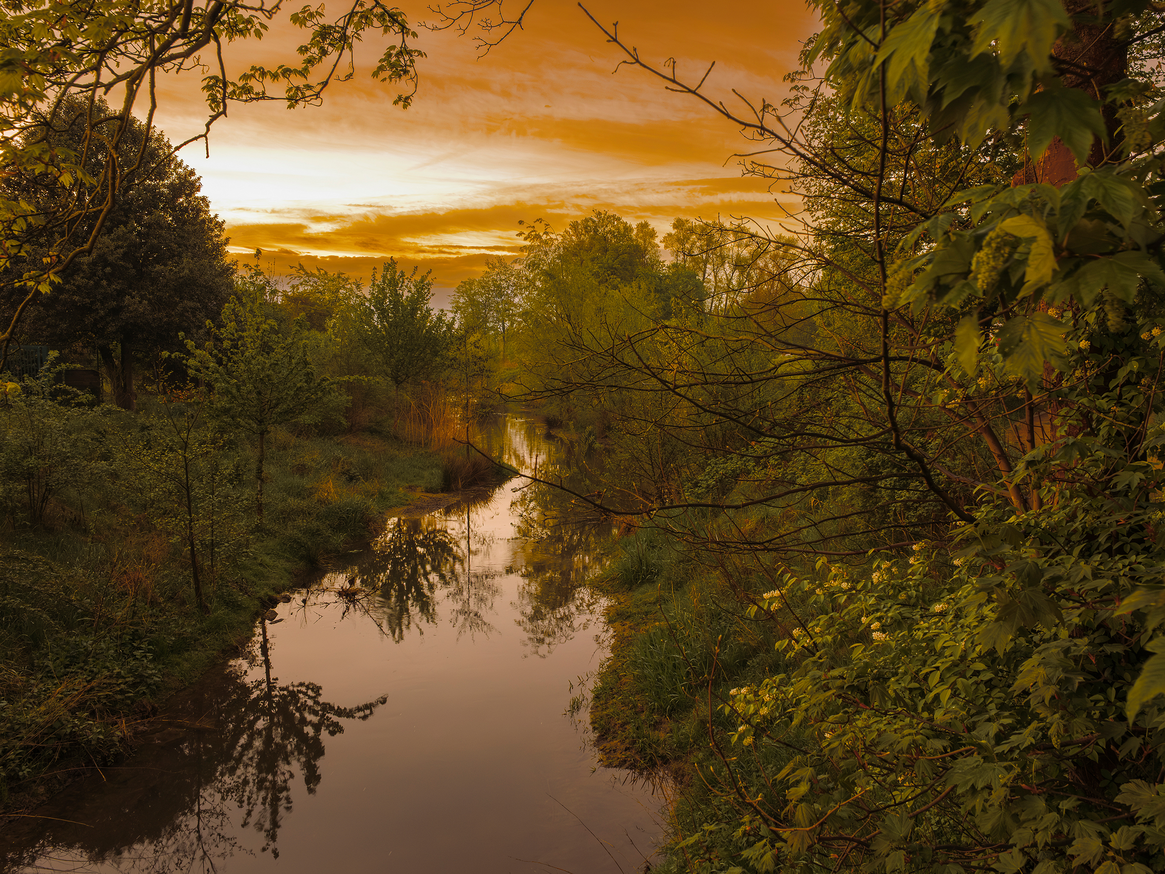Die renaturierte Südliche Düssel bei Sonnenuntergang.