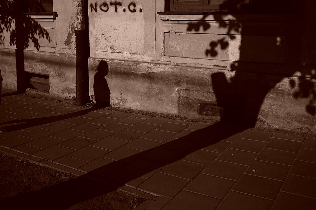 © Taras Polataiko