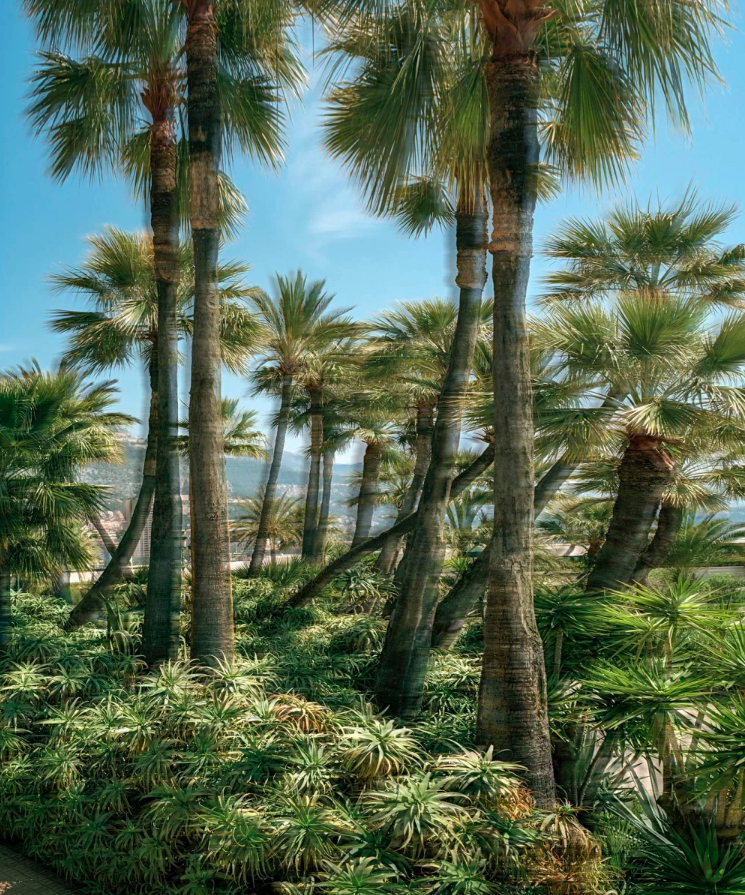 Souvenir Monte Carlo, 2019, framed 186 x 158 cm, edition 6 © Ralf Brueck