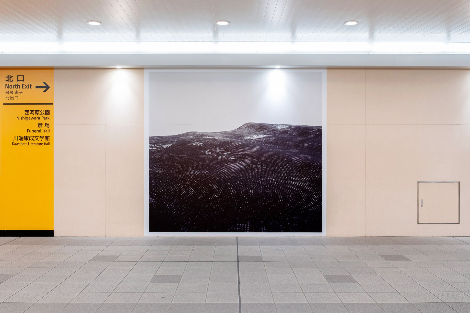 Ausstellungsansicht, Black White Leaf, Hannes Norberg, 2026, one art project, Ibaraki, Osaka, Japan