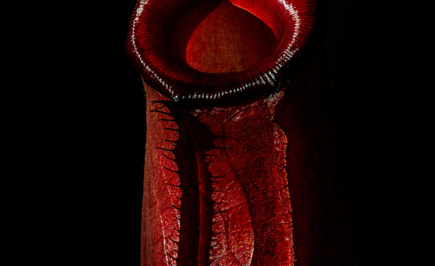 © Pola Sieverding, Kairos, Galerie Knust Kunz, 2026