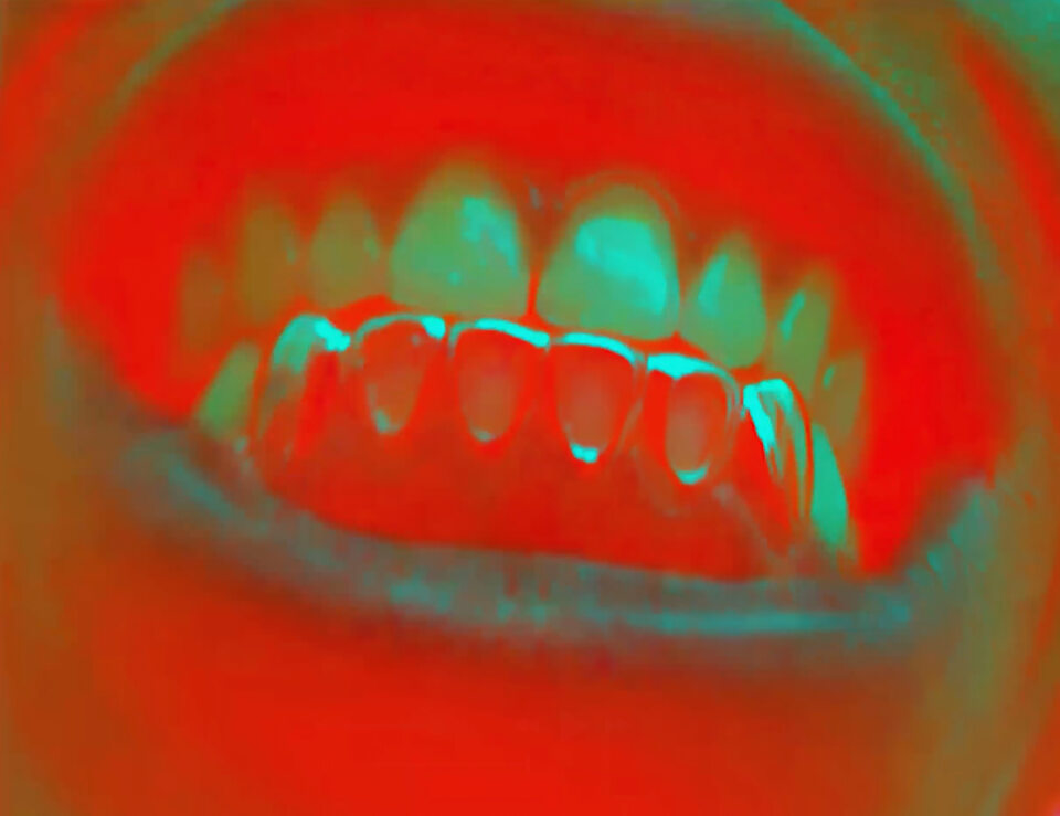 Lennart Brede, Cut your Teeth, Fine Art Print, Silk scarf, 150 x 120cm, courtesy der Künstler und Anna Laudel Galerie