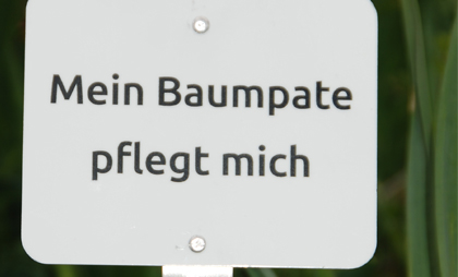 Schild für Baumpaten in Düsseldorf