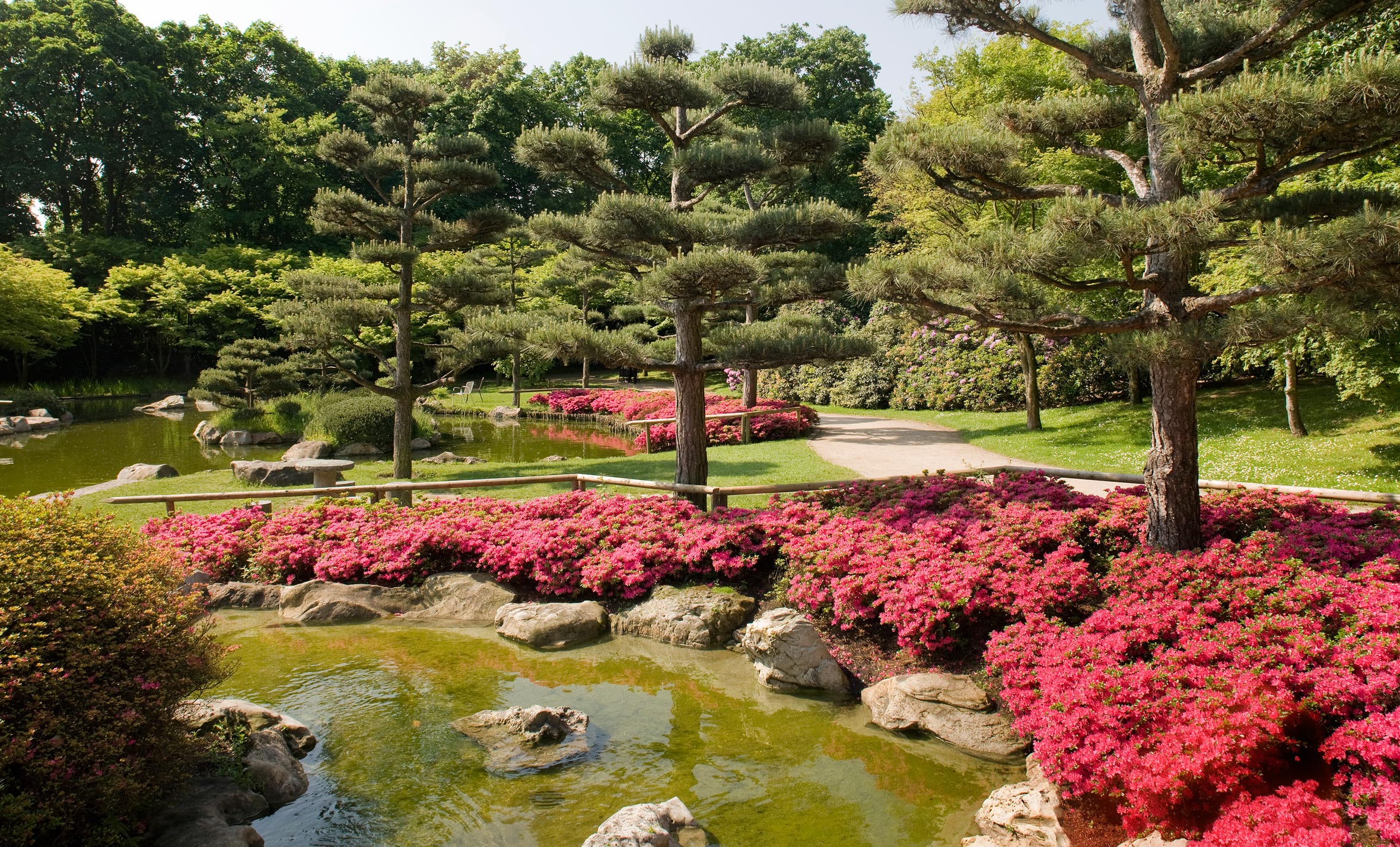 Der Japanische Garten im Mai