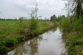 Die naturnahe Gewässerausbaumaßnahme ANGER I wird in sechs Teilabschnitten durchgeführt und grenzt an den bereits fertiggestellten Ausbauabschnitt ANGER II in der Ortslage Angermund. Foto: Schaffmeister