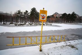 Eine von insgesamt 42 Eisleitern, die im gesamten Düsseldorfer Stadtgebiet an Gewässern aufgestellt worden sind. Foto: Ingo Lammert