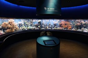 Korallenhalbrundbecken im Aquazoo Löbbecke Museum