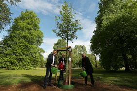 Symbolisches Angießen der frisch gepflanzten Flatterulme ("Baum des Jahres 2019") im Zoopark durch Bezirksbürgermeister Dr. Uwe Wagner, Dr. Gottfried Pache aus der Nachbarschaft sowie Gartenamtsleiterin Doris Törkel (v.l.). Foto: David Young