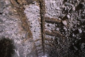 Altersbedingt weist der Düker defekte Fugen sowie eine Betonkorrosion in der Dükerröhre und an den Bauwerken am Ober- und Unterhaupt auf und muss daher saniert werden. Foto: David Young