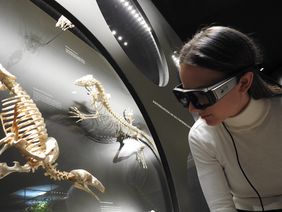 Probandin mit Eye-Tracking-Brille besucht die Ausstellung