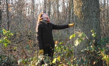 Foto einer Frau im Wald, die an den Stamm eines großen Baums fasst