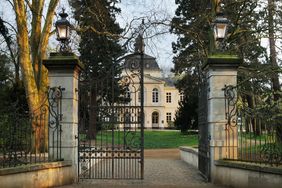 Wildgemüse und Frühlingsblüher sind Thema der Exkursion in den Eller Schlosspark. Foto: Landeshauptstadt Düsseldorf/Gartenamt