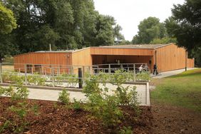 Die Waldschule ist barrierefrei zu erreichen. Foto: David Young