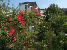 Landeshauptstadt Düsseldorf/Garten-, Friedhofs- und Forstamt