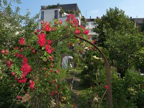 Anmeldung zur Aktion "Offene Gartenpforte" bis 15. Februar möglich. Foto: Gartenamt