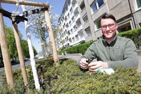 Mithilfe moderner Sensorik bestimmt Gartenamtsmitarbeiter Sascha Ronsdorf-Beer den Feuchtegehalt im Boden. Foto: Ingo Lammert