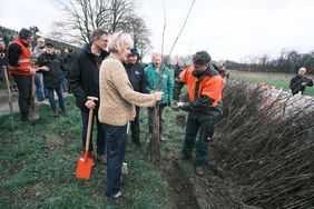 Über 1.000 junge Waldbäume wurden auf der Fläche am Wasserwerk Bockum gepflanzt. Städtische Forstwirtinnen und Forstwirte haben die Pflanzen bereitgestellt und Wissen rund um die gemeinsame Erstaufforstung vermittelt.