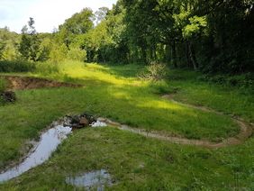 Zum Vergleich eine Aufnahme aus dem bereits fertiggestellten Bauabschnitt: Der Pillebach hat dort einen geschwungenen Flussverlauf erhalten, der sich bei höheren Wasserständen ausbreiten kann.