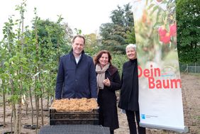 OB Dr. Stephan Keller, Gründezernentin Helga Stulgies und Gartenamtsleiterin Doris Törkel stellen die Aktion "Dein Baum" vor. Foto: Uwe Schaffmeister
