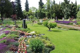 Vogelstimmen-Exkursion auf dem Südfriedhof am Donnerstag, 2. Mai. Foto: Gartenamt