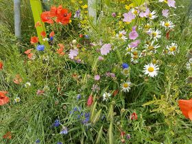 Landeshauptstadt Düsseldorf/Garten-, Friedhofs- und Forstamt