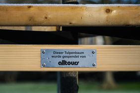 Mit Baumspenden können sich Unternehmen und Privatpersonen für das Grün in Düsseldorf engagieren - ob im Stadtwald, an Straßen oder in den Parks und Grünanlagen. Spenderplaketten an den Stützen weisen auf die Spender hin.