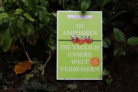 Das Buch "111 Amphibien" zwischen tropischen Pflanzen