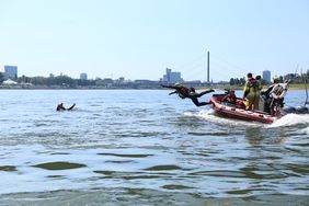Strömungsretter der Feuerwehr Düsseldorf haben am Donnerstag, 18. Juni 2026, eine Einsatzübung der Rettung im Rhein demonstriert. Foto: Landeshauptstadt Düsseldorf/Ingo Lammert