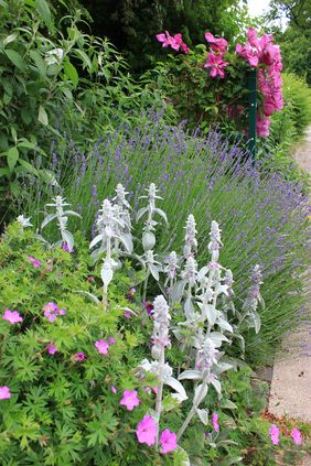 Anmeldung zur Aktion "Offene Gartenpforte" bis 15. Februar möglich. Foto: Gartenamt