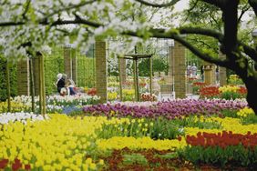 Bereits jetzt im Herbst werden die Blumenzwiebeln für die Blumenpracht im nächsten Frühjahr in die Erde gebracht. Foto: Gartenamt