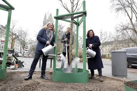 Gründezernentin Helga Stulgies, Gartenamtsabteilungsleiter Matthias Pasch und Bezirksbürgermeisterin Annette Klinke gießen symbolisch drei neugepflanzte Zierkirschen auf dem Rochusmarkt an. Foto: Ingo Lammert