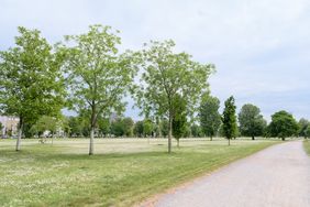 Der Rheinpark soll als grüne Verbindung der angrenzenden Wohnquartiere mit dem Rhein sowie zwischen der Innenstadt und dem Düsseldorfer Norden erhalten bleiben. Foto: Gstettenbauer