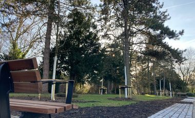Auf dem Friedhof Heerdt ist ein neues Baumfeld entstanden. Darauf können Urnen unter Bäumen beigesetzt werden. Das Bestattungsangebot steht ab sofort zur Verfügung. Fotos: Gartenamt