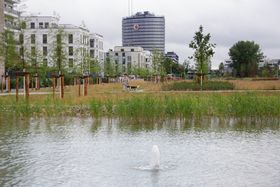 Landeshauptstadt Düsseldorf/Ingo Lammert