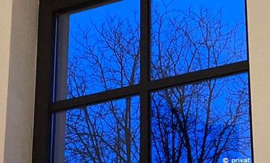 Foto von einem Fenster im blauen Dämmerlicht, in dessen Scheiben sich ein kahler Baum spiegelt.