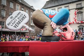 Die Mottowagen thematisierten unter anderem die AFD; Foto: Melanie Zanin