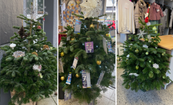 Weihnachtsbaum-Aktion in der Heyestraße-Süd im November/Dezember 2023