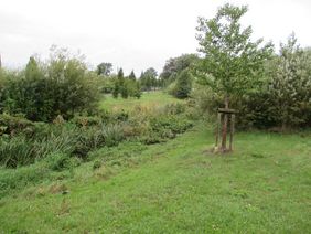 Entwicklung des Pillebachs im Bereich "Quellenbusch" © Landeshauptstadt Düsseldorf 
