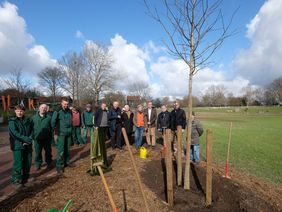 Die Deutsche Bundesgartenschau-Gesellschaft hat Düsseldorf für den Südpark mit dem Ehrenpreis für hervorragend nachhaltige Parkbewirtschaftung ausgezeichnet. Aus diesem Anlass wurde ein Amberbaum im ehemaligen BUGA-Park gepflanzt und eine Stele enthüllt. Foto: Meyer