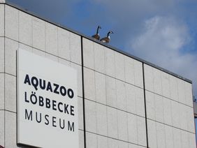 Teil der Außenfassade des Aquazoo Löbbecke Museum mit Namensschriftzug