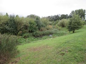 Entwicklung des Pillebachs im Bereich "Quellenbusch" © Landeshauptstadt Düsseldorf 