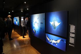 Landeshauptstadt Düsseldorf/Aquazoo Löbbecke Museum