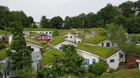 Umweltpreisträger 2019: Die Ökologische Siedlung in Düsseldorf-Unterbach, Foto von schräg oben der Grasdächer in der Siedlung