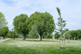 Aktuelle Ansicht des Rheinparks Golzheim. Foto: Gstettenbauer